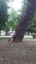 Photo uploaded by <i>viorelarghius</i> on 06/10/2018