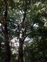 Photo uploaded by <i>viorelarghius</i> on 06/19/2018