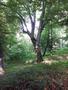 Photo uploaded by <i>viorelarghius</i> on 06/19/2018