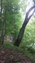 Photo uploaded by <i>viorelarghius</i> on 06/19/2018