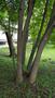 Photo uploaded by <i>THartel</i> on 06/20/2018