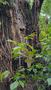 Photo uploaded by <i>THartel</i> on 06/20/2018