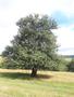 Photo uploaded by <i>viorelarghius</i> on 06/24/2018