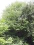 Photo uploaded by <i>viorelarghius</i> on 06/24/2018