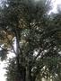 Photo uploaded by <i>Mihai</i> on 06/24/2018