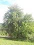 Photo uploaded by <i>viorelarghius</i> on 06/30/2018