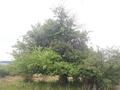 Photo uploaded by <i>viorelarghius</i> on 06/30/2018