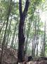Photo uploaded by <i>viorelarghius</i> on 07/04/2018