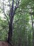 Photo uploaded by <i>viorelarghius</i> on 07/04/2018