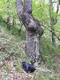 Photo uploaded by <i>viorelarghius</i> on 07/04/2018
