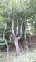 Photo uploaded by <i>viorelarghius</i> on 07/04/2018