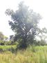 Photo uploaded by <i>viorelarghius</i> on 07/06/2018