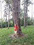 Photo uploaded by <i>viorelarghius</i> on 07/06/2018