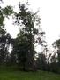 Photo uploaded by <i>viorelarghius</i> on 07/06/2018