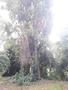 Photo uploaded by <i>viorelarghius</i> on 07/10/2018