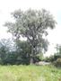 Photo uploaded by <i>viorelarghius</i> on 07/13/2018