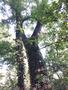 Photo uploaded by <i>viorelarghius</i> on 07/14/2018