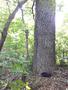 Photo uploaded by <i>viorelarghius</i> on 07/14/2018