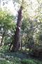 Photo uploaded by <i>viorelarghius</i> on 07/14/2018