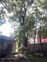 Photo uploaded by <i>viorelarghius</i> on 07/14/2018