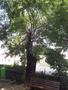 Photo uploaded by <i>viorelarghius</i> on 07/15/2018