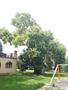 Photo uploaded by <i>viorelarghius</i> on 07/18/2018