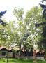 Photo uploaded by <i>viorelarghius</i> on 07/18/2018