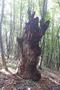 Photo uploaded by <i>viorelarghius</i> on 07/18/2018