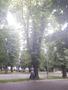 Photo uploaded by <i>viorelarghius</i> on 07/21/2018