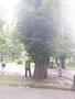 Photo uploaded by <i>viorelarghius</i> on 07/21/2018