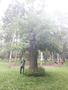 Photo uploaded by <i>viorelarghius</i> on 07/21/2018