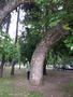 Photo uploaded by <i>viorelarghius</i> on 07/21/2018