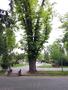Photo uploaded by <i>viorelarghius</i> on 07/21/2018