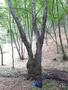Photo uploaded by <i>viorelarghius</i> on 07/22/2018