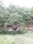 Photo uploaded by <i>viorelarghius</i> on 07/22/2018