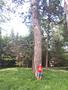 Photo uploaded by <i>viorelarghius</i> on 07/22/2018