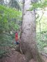 Photo uploaded by <i>viorelarghius</i> on 07/22/2018