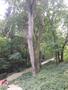 Photo uploaded by <i>viorelarghius</i> on 07/22/2018