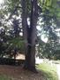 Photo uploaded by <i>viorelarghius</i> on 07/22/2018