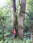 Photo uploaded by <i>viorelarghius</i> on 07/22/2018
