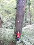 Photo uploaded by <i>viorelarghius</i> on 07/22/2018