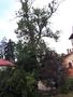 Photo uploaded by <i>viorelarghius</i> on 07/22/2018