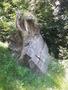 Photo uploaded by <i>viorelarghius</i> on 07/24/2018