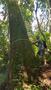 Photo uploaded by <i>viorelarghius</i> on 07/24/2018