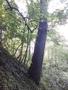Photo uploaded by <i>viorelarghius</i> on 07/24/2018