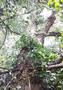Photo uploaded by <i>viorelarghius</i> on 07/24/2018