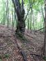 Photo uploaded by <i>viorelarghius</i> on 07/25/2018