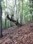 Photo uploaded by <i>viorelarghius</i> on 07/25/2018