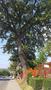 Photo uploaded by <i>THartel</i> on 08/07/2018