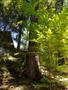 Photo uploaded by <i>THartel</i> on 08/10/2018